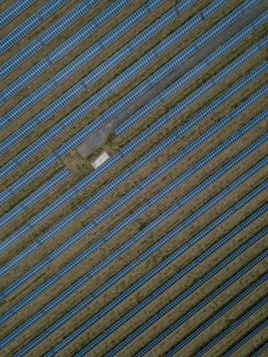 Residential solar panel array generating clean energy