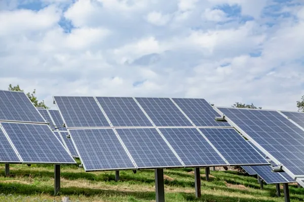 Close-up of solar panel wiring and microinverter components
